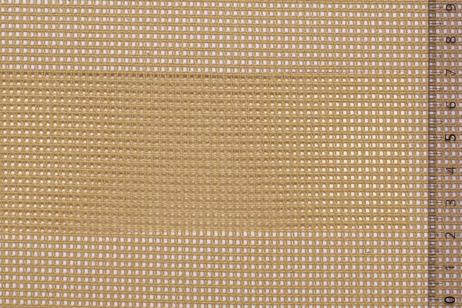 01CANTAP40KHAxxxCOT[CANVAS 40 TAPESTRY No5](KHAKI)F